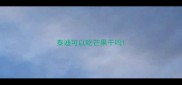 泰迪可以吃芒果干吗