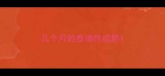 几个月的泰迪性成熟