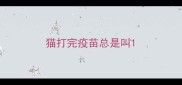 猫打完疫苗总是叫