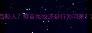 泰迪犬接种疫苗后咬人疫苗失效还是行为问题深度与应对指南