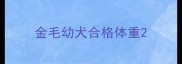 金毛幼犬合格体重