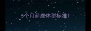 5个月萨摩体型标准