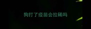 狗打了疫苗会拉稀吗