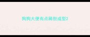 狗狗大便有点稀但成型
