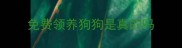 免费领养狗狗是真的吗