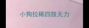 小狗拉稀四肢无力
