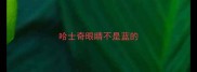 哈士奇眼睛不是蓝的