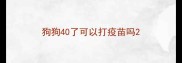 狗狗40了可以打疫苗吗
