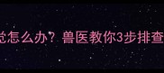 猫咪没食欲爱睡觉怎么办兽医教你3步排查病因并恢复健康