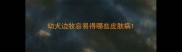 幼犬边牧容易得哪些皮肤病