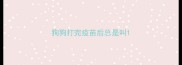 狗狗打完疫苗后总是叫