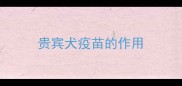 贵宾犬疫苗的作用
