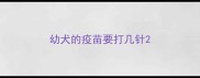 幼犬的疫苗要打几针