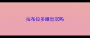 拉布拉多睡觉沉吗