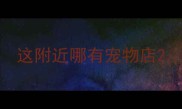 这附近哪有宠物店