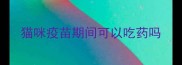 猫咪疫苗期间可以吃药吗