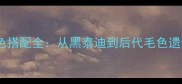 泰迪犬配种颜色搭配全从黑泰迪到后代毛色遗传的五大关键