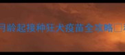 幼犬必看3月龄起接种狂犬疫苗全攻略科学防病指南
