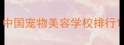 中国宠物美容学校排行