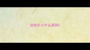 边牧头小什么原因