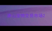 唐山宠物交易市场