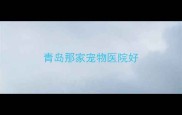 青岛那家宠物医院好