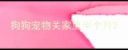 狗狗宠物关家里半个月
