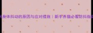 猫咪身体抖动的原因与应对措施新手养猫必看防抖指南