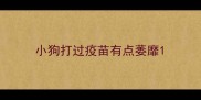 小狗打过疫苗有点萎靡