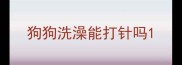 狗狗洗澡能打针吗