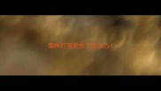 猫咪打架受伤了怎么办