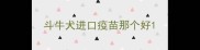 斗牛犬进口疫苗那个好