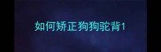 如何矫正狗狗驼背