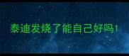 泰迪发烧了能自己好吗