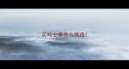 买哈士奇怎么挑选