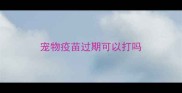 宠物疫苗过期可以打吗
