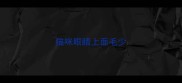 猫咪眼睛上面毛少