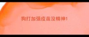 狗打加强疫苗没精神
