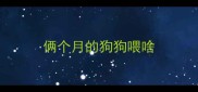 俩个月的狗狗喂啥