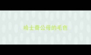 哈士奇公母的毛色