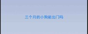 三个月的小狗能出门吗