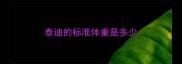 泰迪的标准体重是多少
