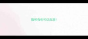 猫咪有伤可以洗澡