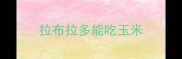 拉布拉多能吃玉米