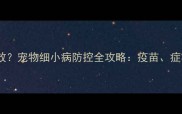 细小病毒疫苗失效宠物细小病防控全攻略疫苗症状治疗与预防