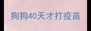 狗狗40天才打疫苗