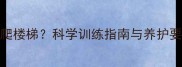 狗狗几个月能安全爬楼梯科学训练指南与养护要点附训练视频