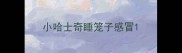 小哈士奇睡笼子感冒