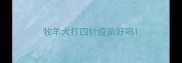 牧羊犬打四针疫苗好吗