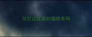 没打过疫苗的猫绝育吗